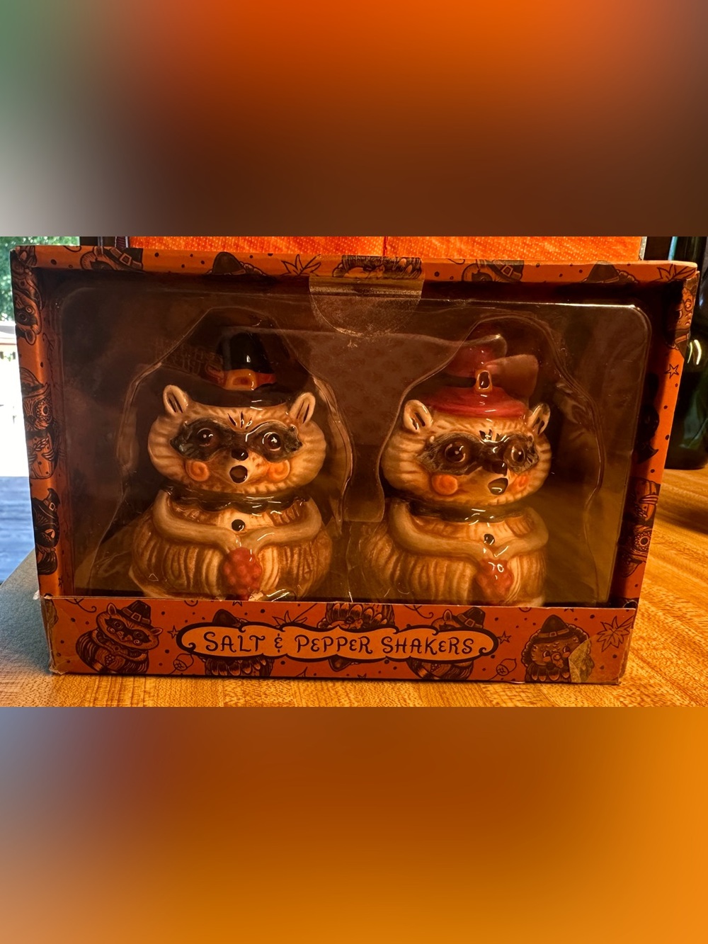 Johanna Parker Raccoon Pilgrim Fall Collection Salt & Pepper Shakers NEW